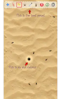 Ant Sandbox Screen Shot 2