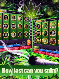 Lucky Weed - Slots grátis Screen Shot 0