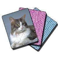 Kitty cat cards mahjong