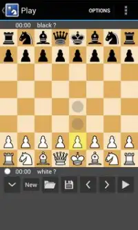 Chess Free 2 Player, Computer Screen Shot 0