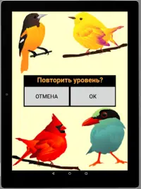 Игра на память. Птицы. 6  Screen Shot 15