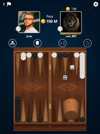 PPNards: Backgammon board game Screen Shot 5