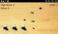 insectos por aplastamiento Screen Shot 4