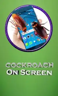 Real Cockroach Simulator on Screen Screen Shot 0