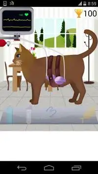 pet pregnancy games Screen Shot 2