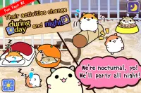 hamster collection Screen Shot 3