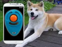 Clicker Training Dog Simulator Screen Shot 2