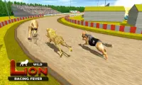 Wild Lion Racing Animal Race Screen Shot 3