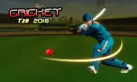 Cricket t20 2018 Screen Shot 3