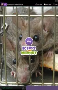 Crazy Rats Match Game Screen Shot 1