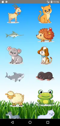 Learn Animals  Name, Sounds, Pictures Screen Shot 3