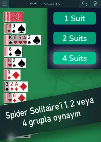 Spider Solitaire -  Solitaire Oyunları Screen Shot 3