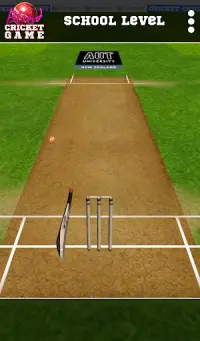 Blind Cricket Screen Shot 6