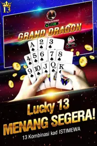 Lucky 13: 13 Card Poker Puzzle Screen Shot 1