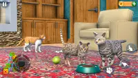 Cat Simulator Offline Cat Game Screen Shot 2