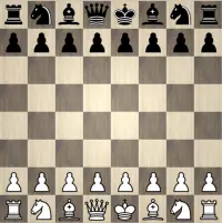 Experts Chess Screen Shot 1