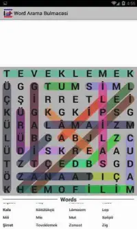 Free Word Puzzle : Free New Word Search Puzzle Screen Shot 1