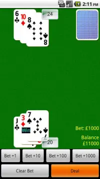 Blackjack Challenge Free Screen Shot 3