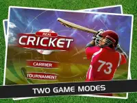 Play Cricket Matches Screen Shot 0