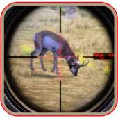 Deer Hunt 2018 Sharp Shooter