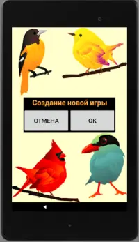 Игра на память. Птицы. 6  Screen Shot 9