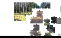 Forest Jigsaw Puzzles Screen Shot 4