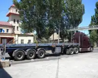 Stichsäge Peterbilt Truck Screen Shot 3