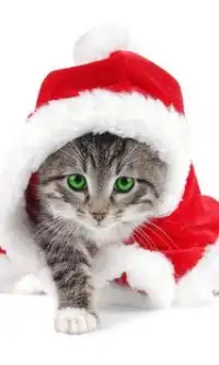 Kitty Christmas Puzzles Free Games Screen Shot 1