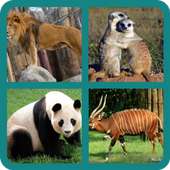 Animal quiz kids trivia pics games