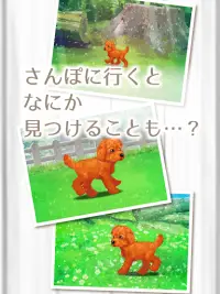 癒しの子犬育成ゲーム〜トイプードル編〜 Screen Shot 3