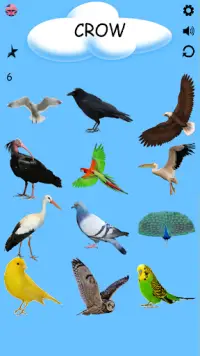 Kuşlar - Kuş Türleri - Kuş İsimleri Screen Shot 1