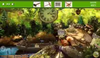 Hidden Object A Frog Tale Screen Shot 0