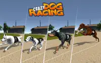 Crazy Dog Racing Screen Shot 0