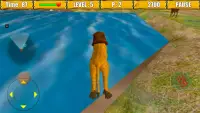 Wild Lion Simulator Game Screen Shot 2