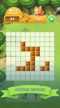 Block Puzzle – jogo clássico Screen Shot 4