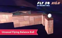 FLY SO HIGH-3D BALANCE BALL Screen Shot 0