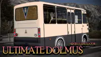 MINIBUS DOLMUS BUS BEACH CITY DRIVING SIMULATOR Screen Shot 2
