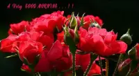 Good morning Flower Images Colorful Roses 4K Screen Shot 5