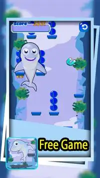 🐬 dolphin show games Screen Shot 2