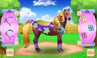 Horse Hair Salon and Mane- Tressage Screen Shot 7