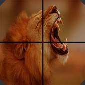 Sniper: Lion Village Attack