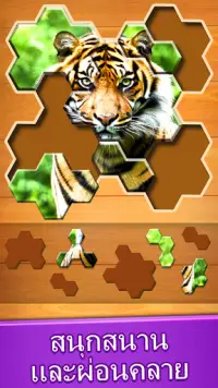 จิ๊กซอว์: Jigsaw Puzzle Screen Shot 2