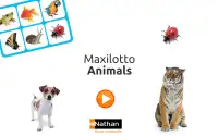 Maxilotto Animals Screen Shot 0