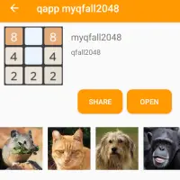 qfall2048 Screen Shot 4