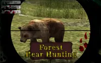 Forest Bear Hunting Screen Shot 0
