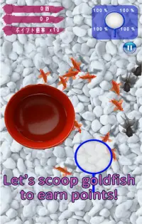 Goldfish Dream　goldfish scoop & goldfish breeding Screen Shot 12