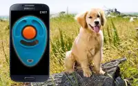Clicker Training Dog Simulator Screen Shot 0