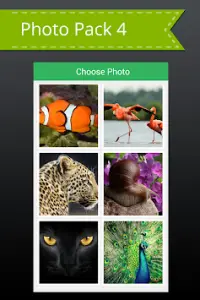 Animal Picture Puzzle Screen Shot 3
