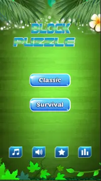 New World Block Puzzle Jewel 2020 Screen Shot 0