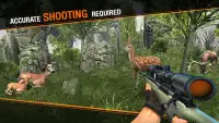 Deer Hunting Sniper Safari - Animals Hunt Screen Shot 0